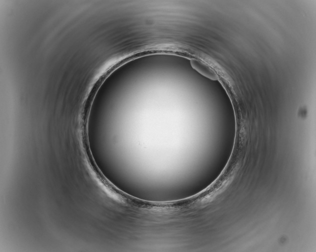 X0000099420989200805091239
