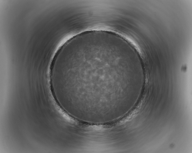 X0000099420990200805091239