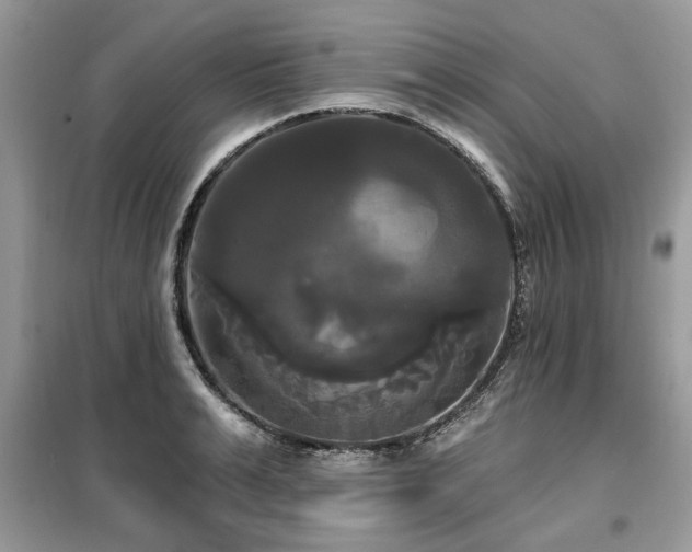 X0000099420991200805091238