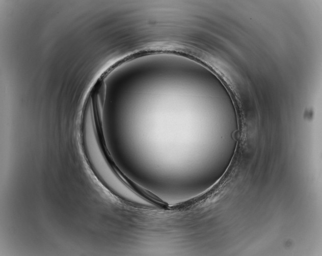 X0000099420992200805091238