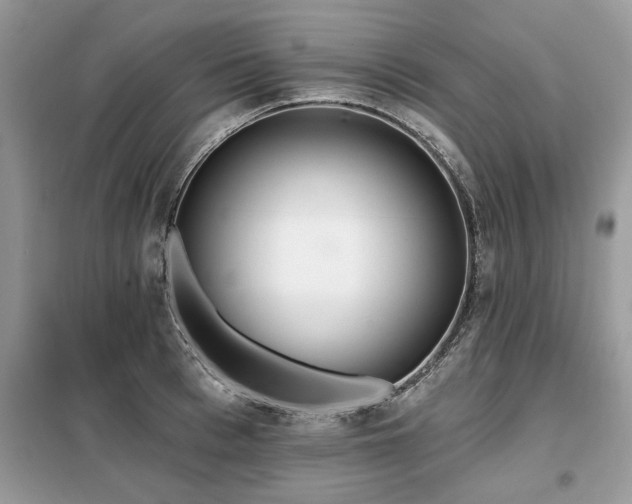 X0000099420993200805091238
