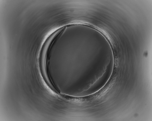 X0000099420995200805091238