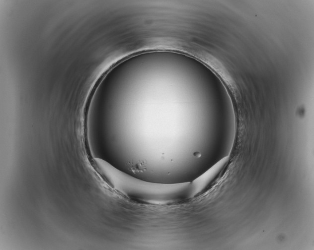 X0000099420996200805091238