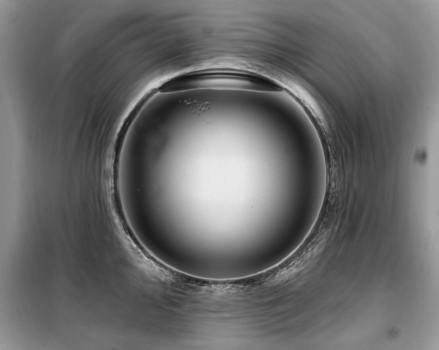 X0000099421000200805091238