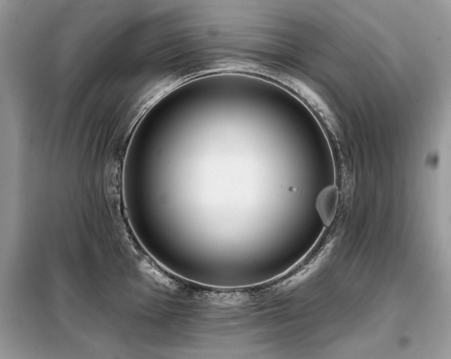 X0000099421001200805091238