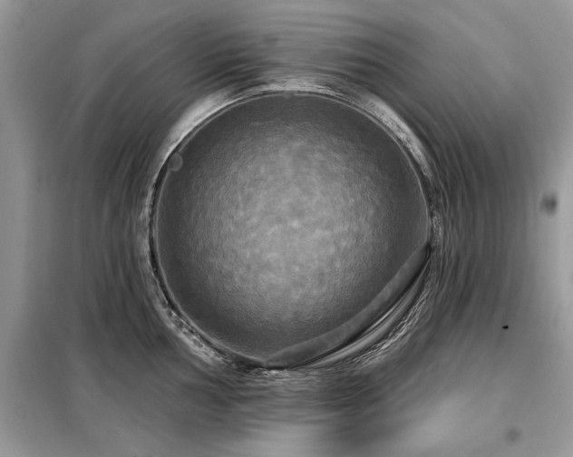 X0000099421002200805091238