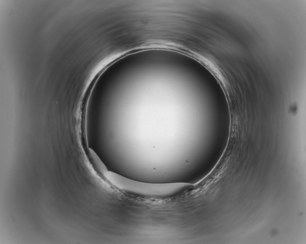 X0000099421003200805091238