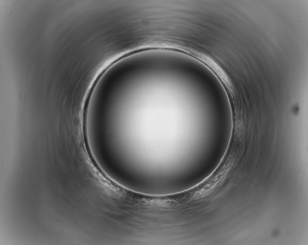 X0000099421004200805091238