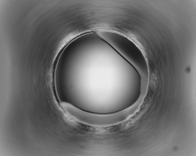 X0000099421005200805091238