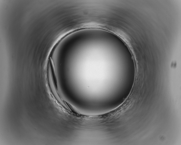 X0000099421008200805091238