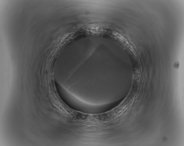 X0000099421009200805091238