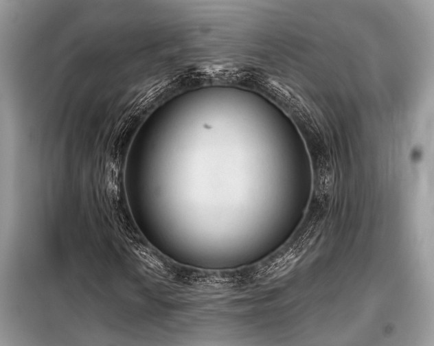 X0000099421010200805091238