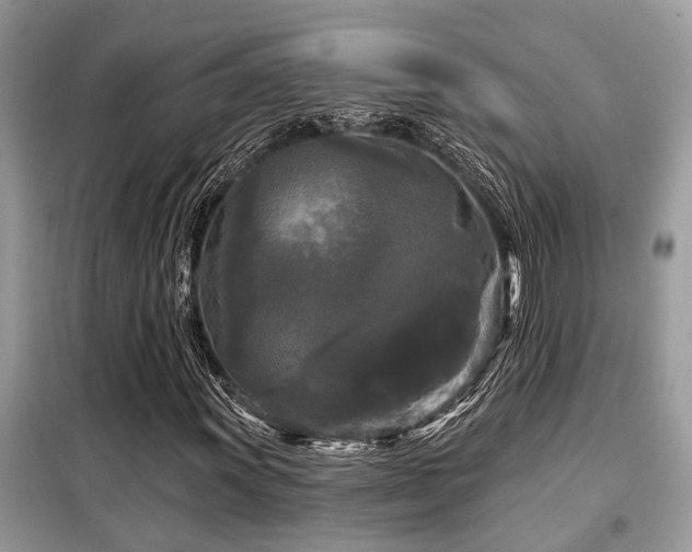 X0000099421011200805091238