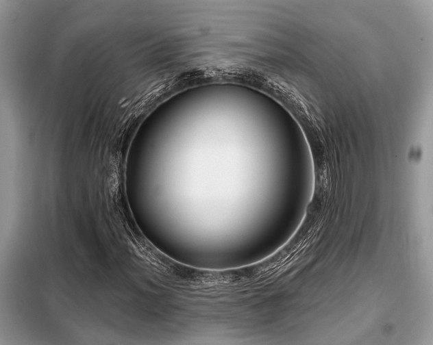 X0000099421012200805091238