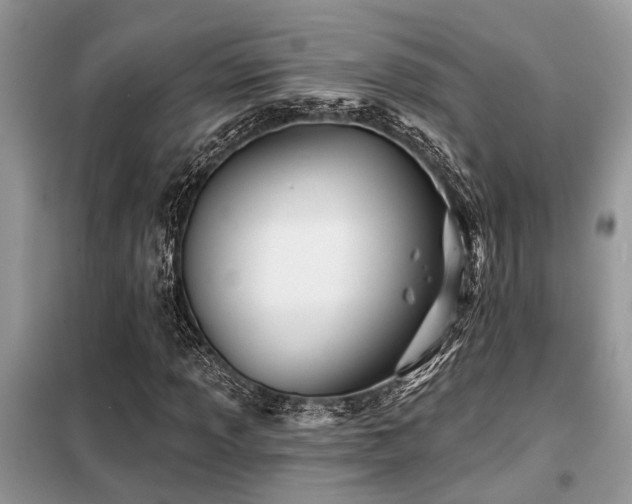 X0000099421013200805091238