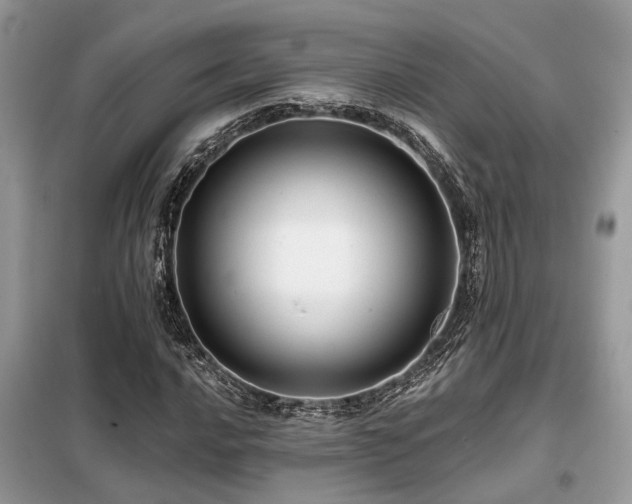 X0000099421016200805091238