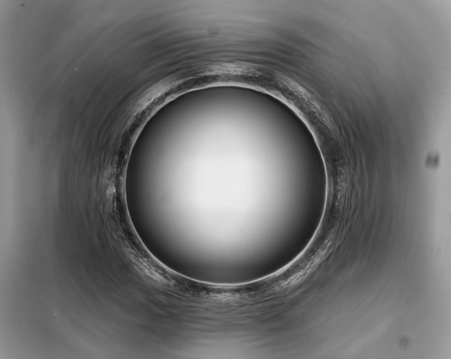 X0000099421017200805091238
