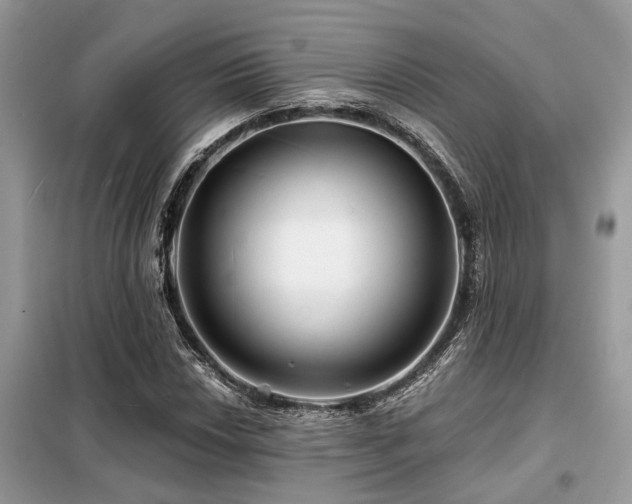 X0000099421018200805091238