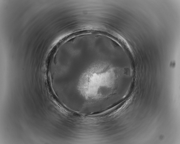 X0000099421019200805091238