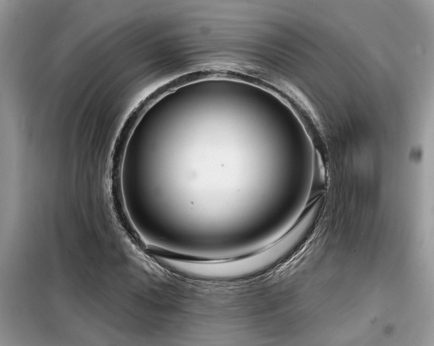 X0000099421020200805091238