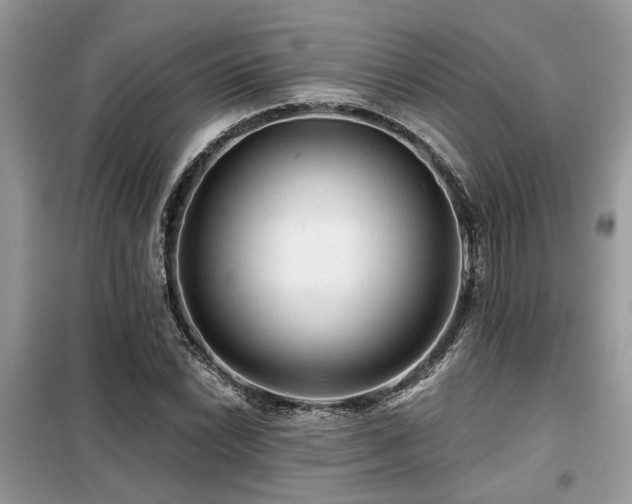 X0000099421022200805091238