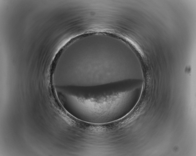 X0000099421023200805091238