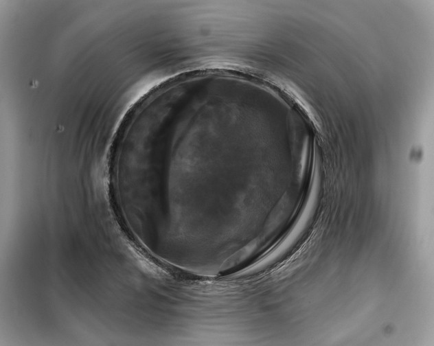 X0000099421024200805091238