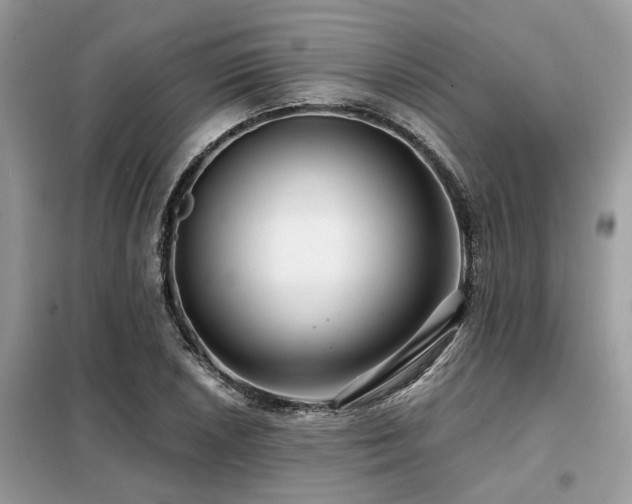 X0000099421026200805091238