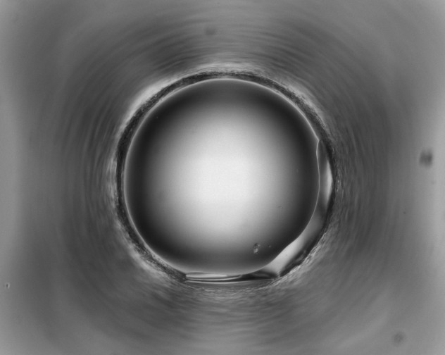 X0000099421030200805091238