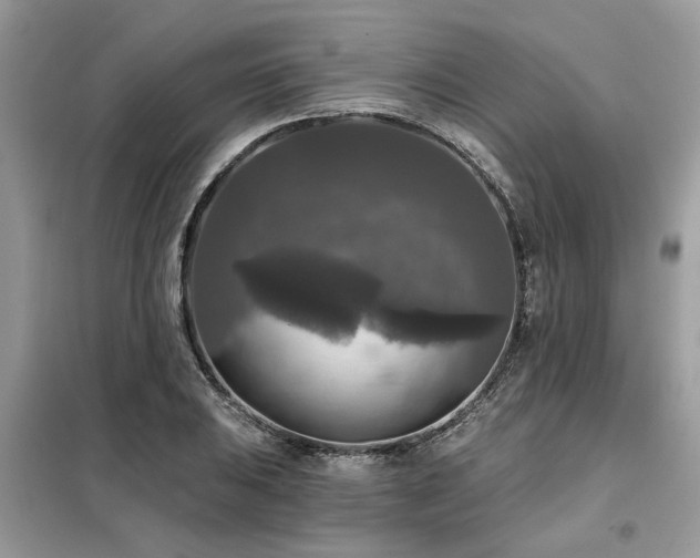 X0000099421031200805091238