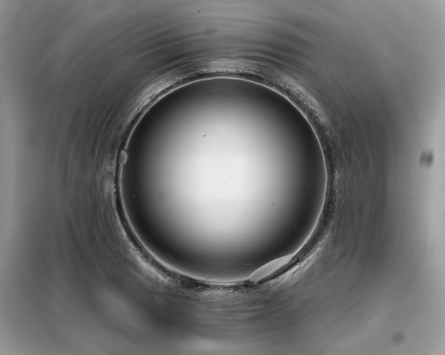 X0000099421033200805091238