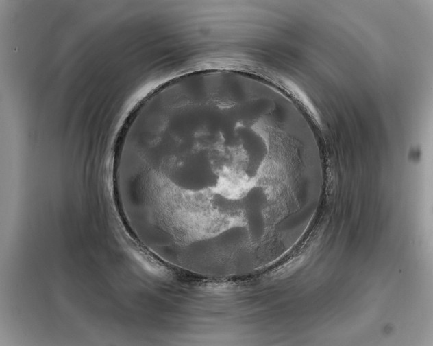 X0000099421035200805091238