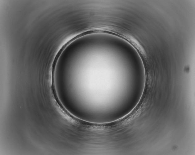 X0000099421036200805091238