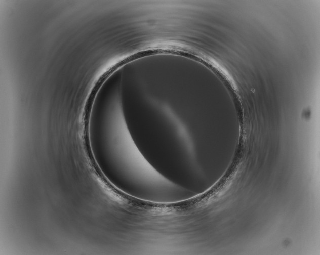 X0000099421037200805091238