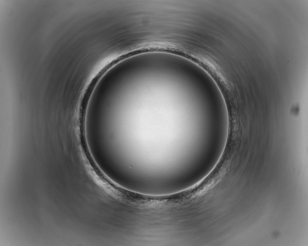 X0000099421038200805091238