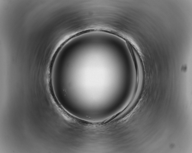 X0000099421040200805091238