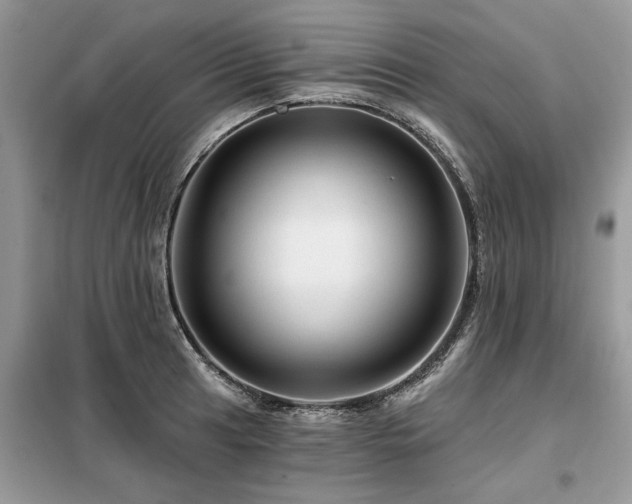 X0000099421041200805091238