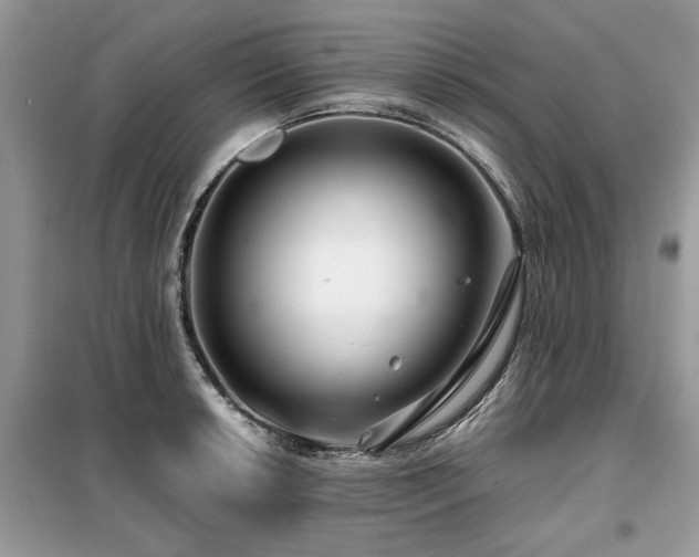 X0000099421042200805091238