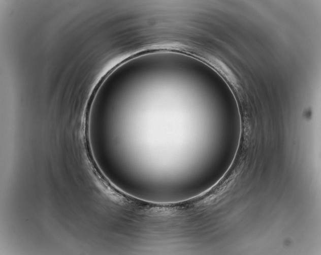 X0000099421044200805091238