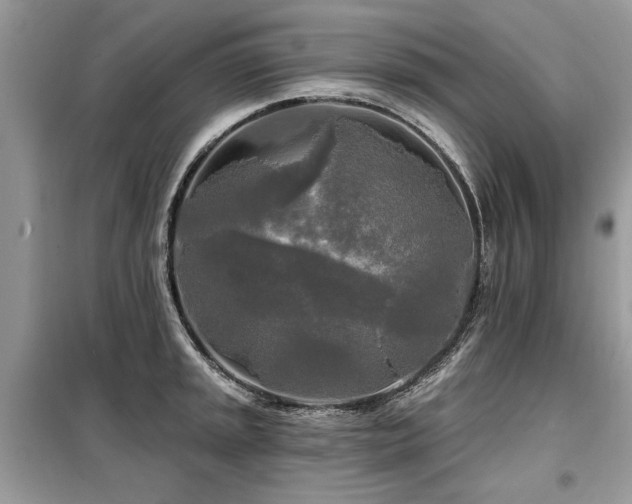 X0000099421045200805091238