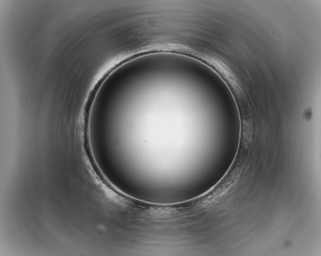 X0000099421046200805091238