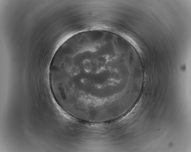 X0000099421047200805091238
