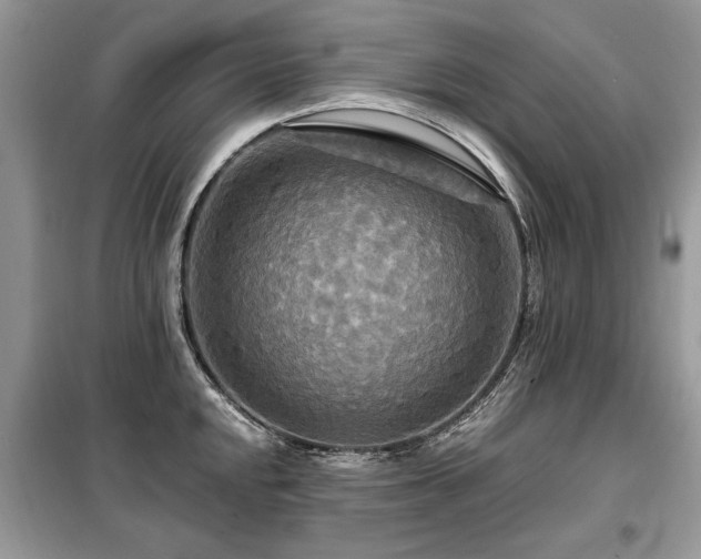 X0000099421048200805091238