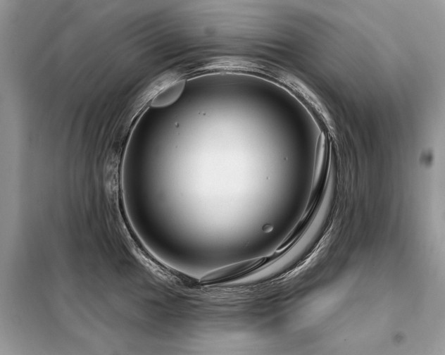 X0000099421049200805091238