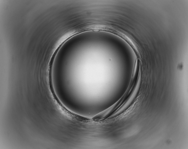 X0000099421050200805091238