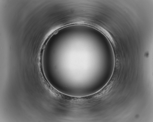 X0000099421051200805091238