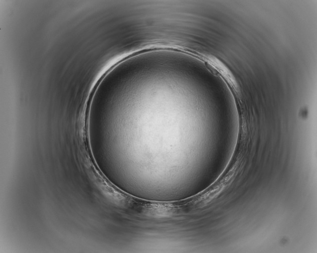 X0000099421052200805091238
