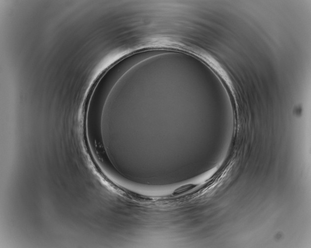 X0000099421053200805091238