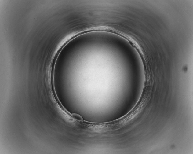 X0000099421054200805091238