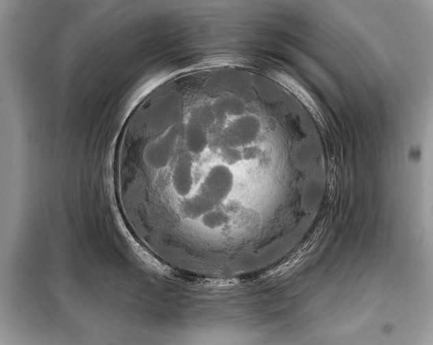 X0000099421055200805091238